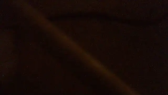 pietje1991 online show from February 2026 04:44:01 PM