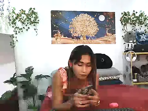 Snapshot of youarea_dreamer chatting on April 2026 05:14:02 PM youarea dreamer online show from April 2026 05:14:02 PM