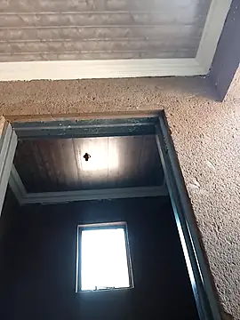 bhutimjongeni online show from September 2025 08:14:02 AM