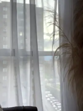 Sofi Leal online show from January 2026 12:18:02 PM