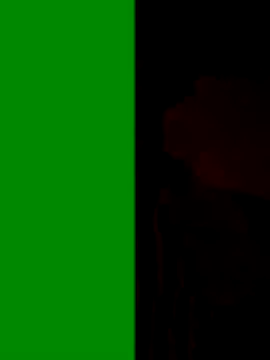 Snapshot of Devi-with-Ram chatting on September 2025 06:58:02 AM Devi-with-Ram online show from September 2025 06:58:02 AM