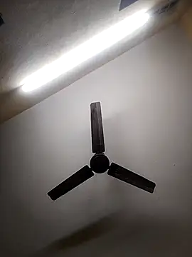 Snapshot of Devi-with-Ram chatting on October 2025 05:48:01 AM Devi-with-Ram online show from October 2025 05:48:01 AM