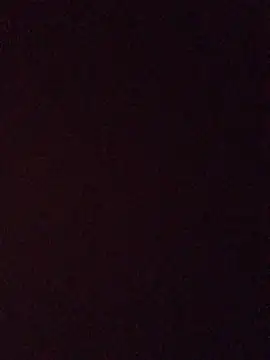 BiTransiboysex online show from August 2026 11:17:02 PM