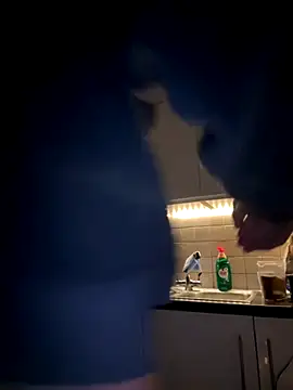 Michel huge online show from November 2025 08:27:01 AM