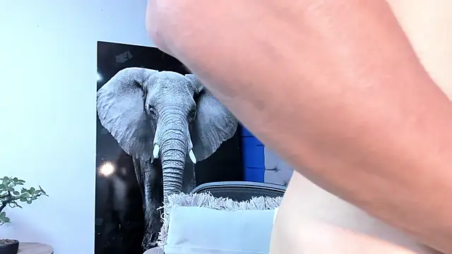 Snapshot of andres-clark92 chatting on September 2025 05:03:01 PM andres-clark92 online show from September 2025 05:03:01 PM