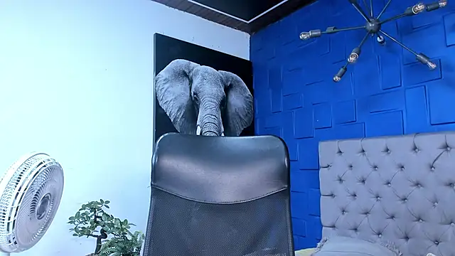 Snapshot of andres-clark92 chatting on October 2025 06:14:02 PM andres-clark92 online show from October 2025 06:14:02 PM