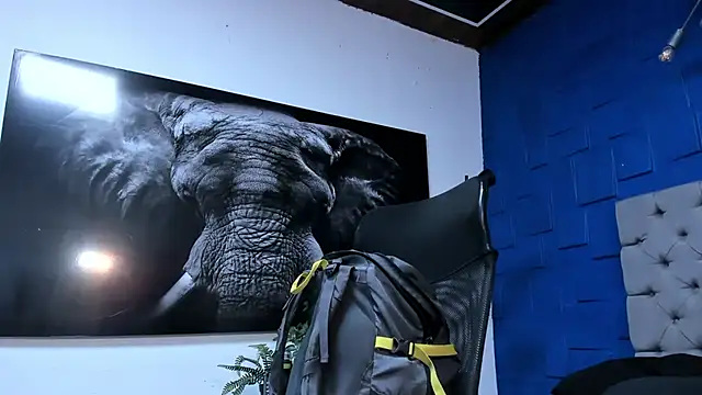 Snapshot of andres-clark92 chatting on November 2025 06:12:01 PM andres-clark92 online show from November 2025 06:12:01 PM