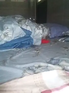 Tan32 11 online show from February 2026 12:26:02 AM