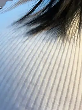 TriumphLove online show from April 2026 06:39:01 AM