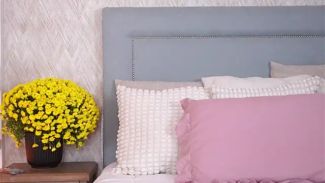 Sofy Bradd online show from November 2025 08:36:02 AM