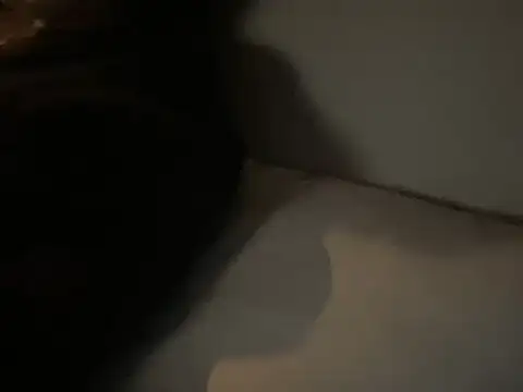 Snapshot of dddasani chatting on December 2025 06:45:02 PM dddasani online show from December 2025 06:45:02 PM