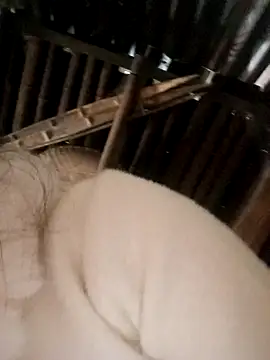 Snapshot of Bianly chatting on November 2025 02:31:02 AM Bianly online show from November 2025 02:31:02 AM