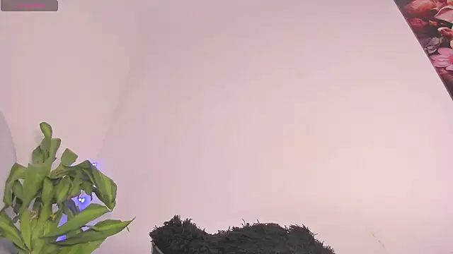 Lucy shen  online show from November 2025 12:52:02 AM