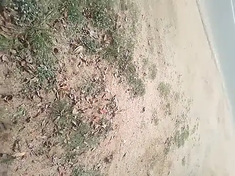 Snapshot of SAManthapathmasri chatting on November 2025 07:47:01 AM SAManthapathmasri online show from November 2025 07:47:01 AM