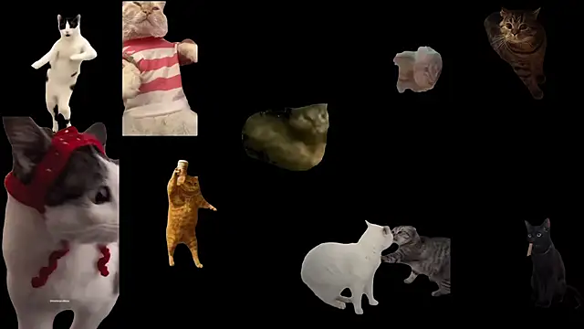 ch0wn m online show from November 2025 03:38:02 PM