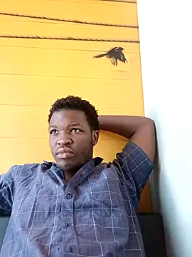 niccobigd online show from March 2026 09:34:02 AM