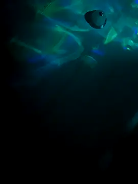 Snapshot of tyrek5051 chatting on October 2025 07:20:01 AM tyrek5051 online show from October 2025 07:20:01 AM