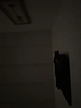 tyrek5051 online show from November 2025 05:02:02 PM