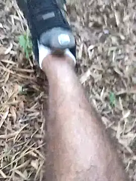 sonotutto online show from September 2025 10:48:02 AM