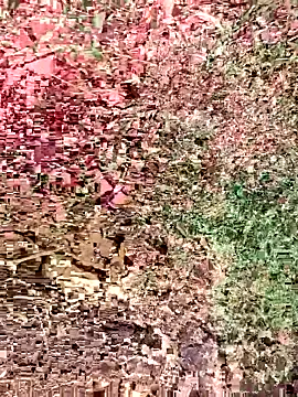 sonotutto online show from October 2025 08:36:02 AM