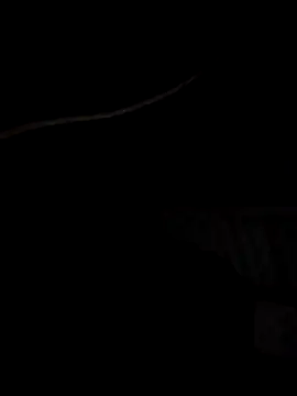 Xharmakesyoufeelorgasms online show from October 2025 12:11:02 AM