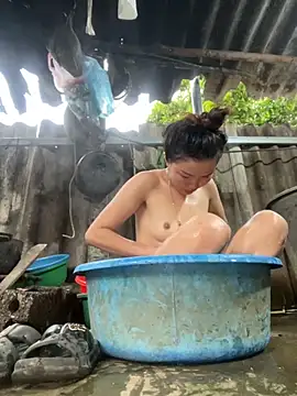 Sunny lotus online show from November 2025 12:02:01 AM