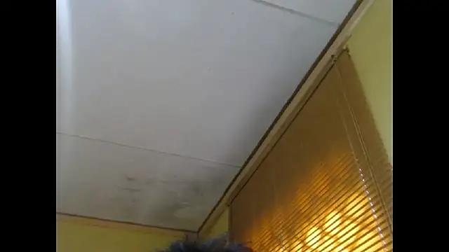 NawtyLisa online show from March 2026 02:01:01 PM