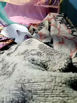 m11a2f3a4z5 online show from February 2026 11:51:01 AM