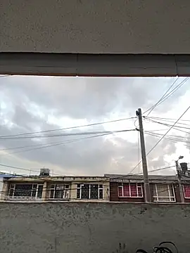 Sallem Pink online show from March 2026 11:15:02 AM