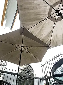 Sallem Pink online show from March 2026 11:10:02 AM