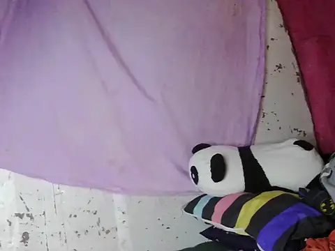 violen786 online show from October 2025 07:54:01 AM