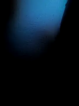 Mancho2289 online show from April 2026 04:40:01 AM