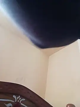 NISHU-TELUGU online show from February 2026 04:46:01 AM