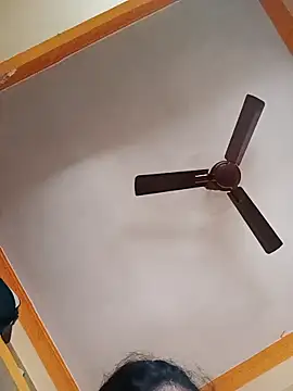 NISHU-TELUGU online show from March 2026 04:51:02 AM