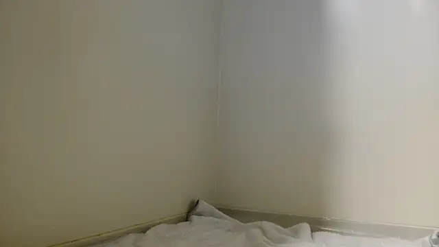 shint-11 online show from October 2025 11:44:02 AM