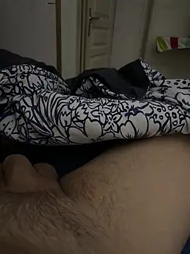 Snapshot of carapace31 chatting on February 2026 11:31:01 PM carapace31 online show from February 2026 11:31:01 PM