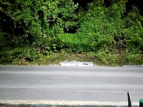 sloppytopkins online show from September 2025 06:35:01 AM