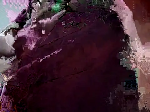 sloppytopkins online show from February 2026 11:20:02 PM