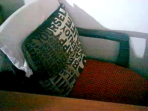 sacptjock83 online show from December 2025 08:59:01 PM