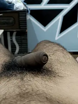 Bull54321 online show from September 2025 04:23:01 AM