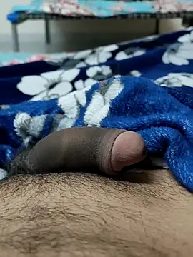 Bull54321 online show from December 2025 04:33:01 PM