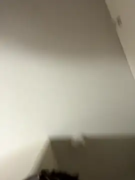 Tu GataLinda online show from September 2025 10:02:01 PM