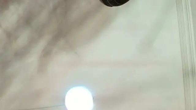 Dixie grey1 online show from September 2025 01:33:01 PM