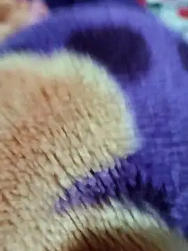 sana-5 online show from March 2026 03:18:01 PM