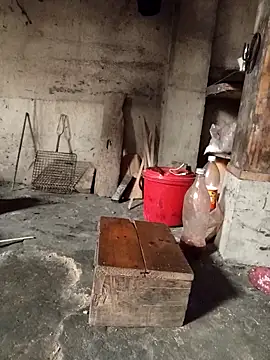 Snapshot of TinTin321 chatting on March 2026 05:24:02 AM TinTin321 online show from March 2026 05:24:02 AM