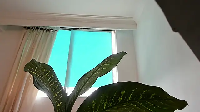 Snapshot of canelleGarces chatting on February 2026 06:01:02 PM canelleGarces online show from February 2026 06:01:02 PM