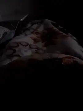 ratoncito 3 online show from January 2026 12:38:01 AM