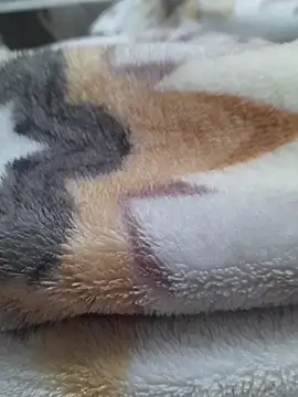 Snapshot of ratoncito_3 chatting on March 2026 12:31:02 PM ratoncito 3 online show from March 2026 12:31:02 PM