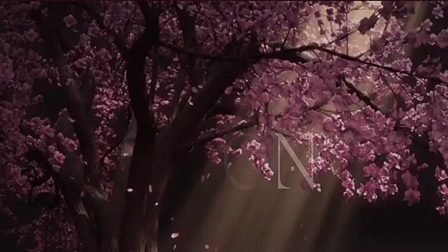 EdenArcadia online show from May 2026 06:52:02 AM