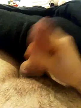 Snapshot of chrisdic27 chatting on March 2026 05:44:01 AM chrisdic27 online show from March 2026 05:44:01 AM